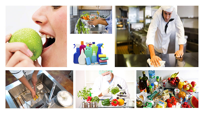 Alimentos